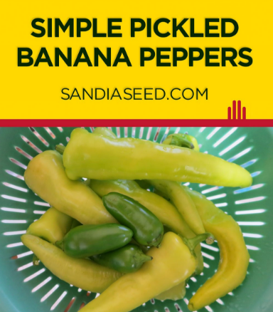 Simple Pickled Banana Peppers Recipe
