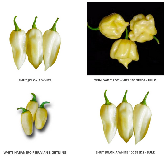 White Peppers Seeds