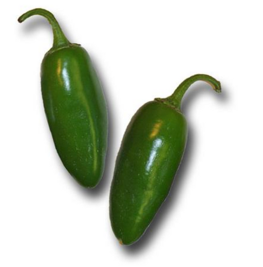 Jalapeno Seeds - Early Jalapeno


