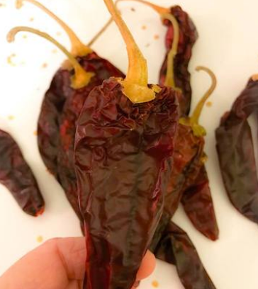 Red Chile Sauce Recipe