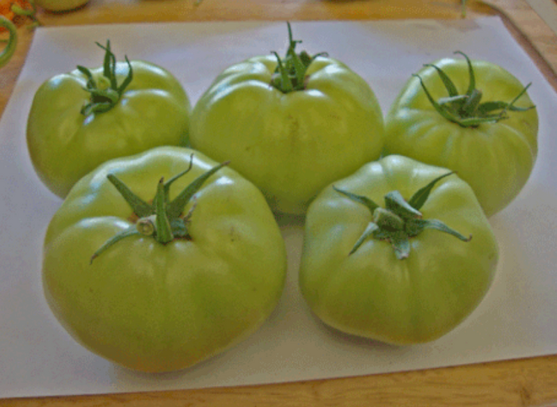 Ripen Green Tomatoes Indoors
