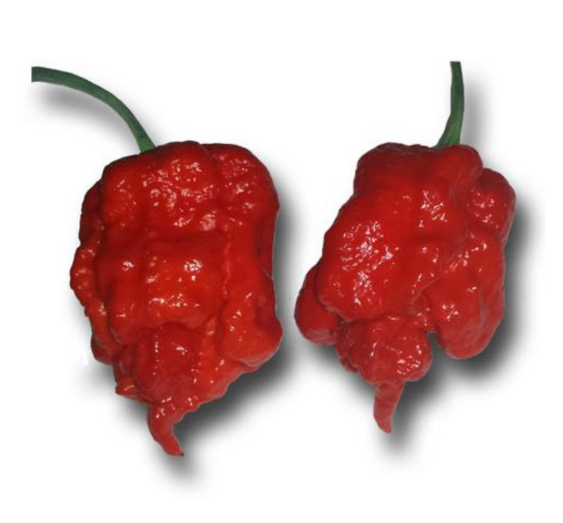 Carolina Reaper Seeds