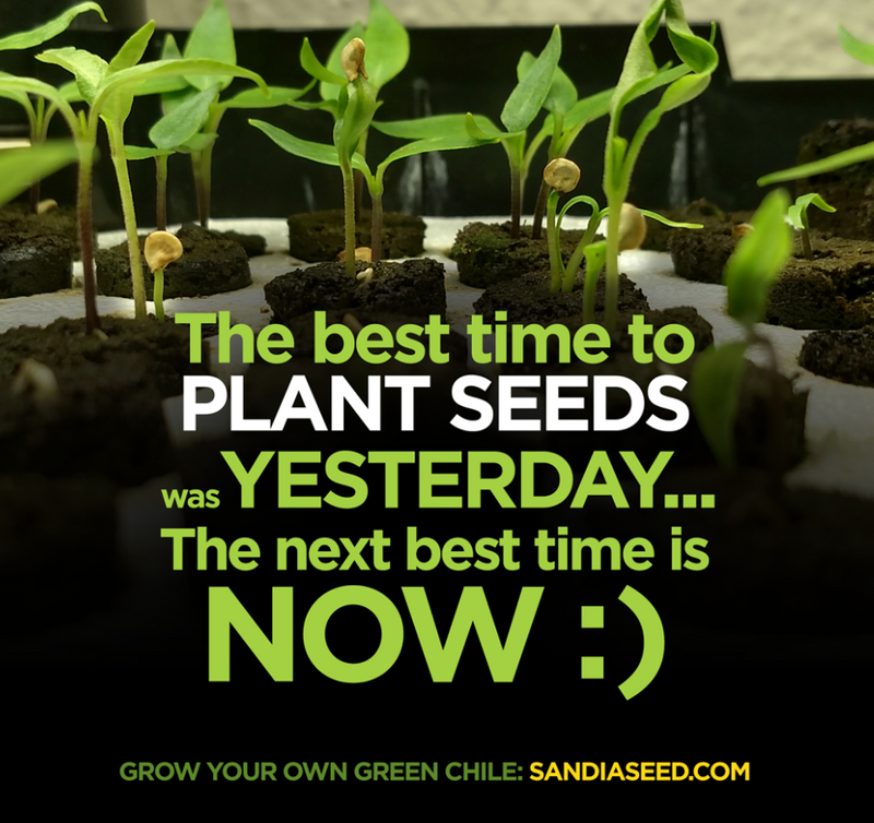 Is it Too Late to Start Seeds?  The best time to plant seeds was yesterday... the next best time is NOW!
