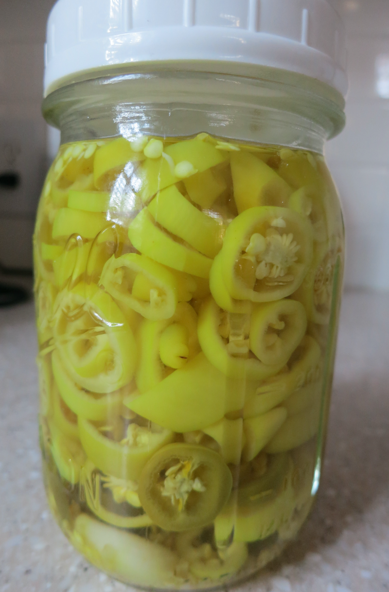 Best Peppers for Pickles & Kimchis