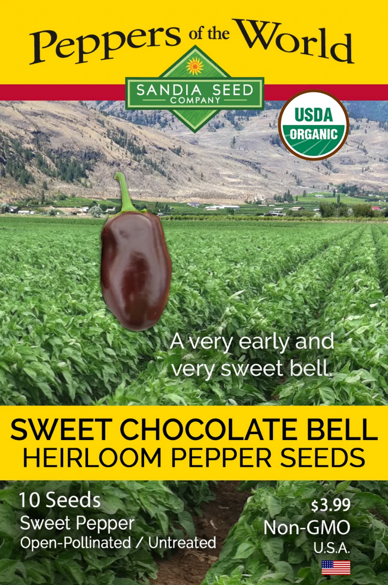 Sweet Chocolate Bell Pepper - the earliest pepper!