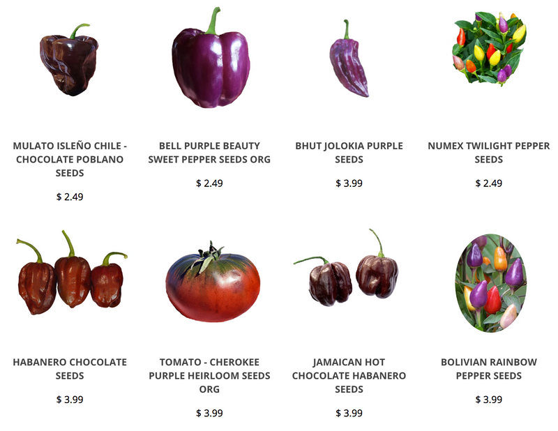 Purple Peppers and Tomatoes