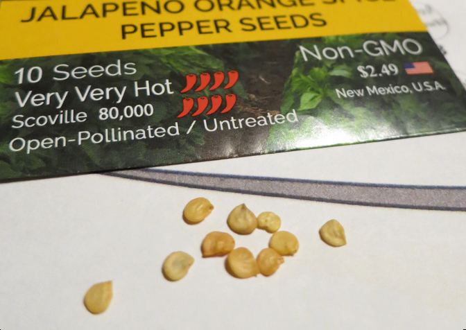 When should I plant my seeds?