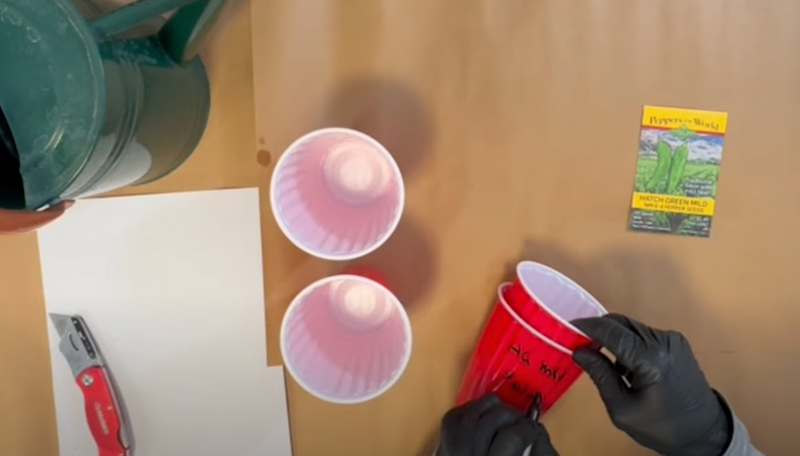A diagram illustrating double cup seed starting method with red solo cups, seed packets, and gardening tools on a wooden surface.