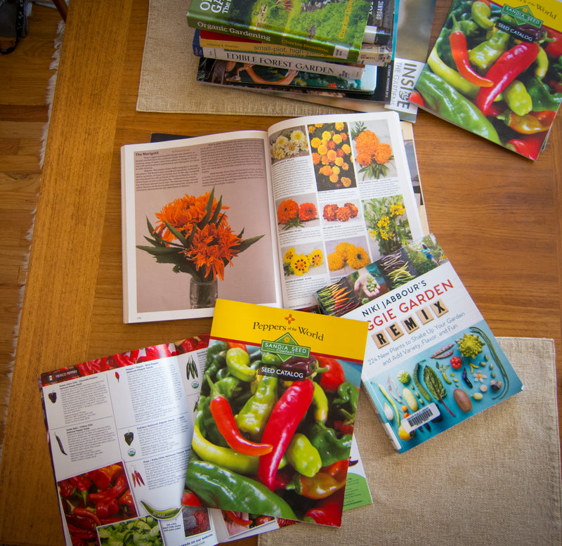 Best Vegetable Seeds Catalogs
