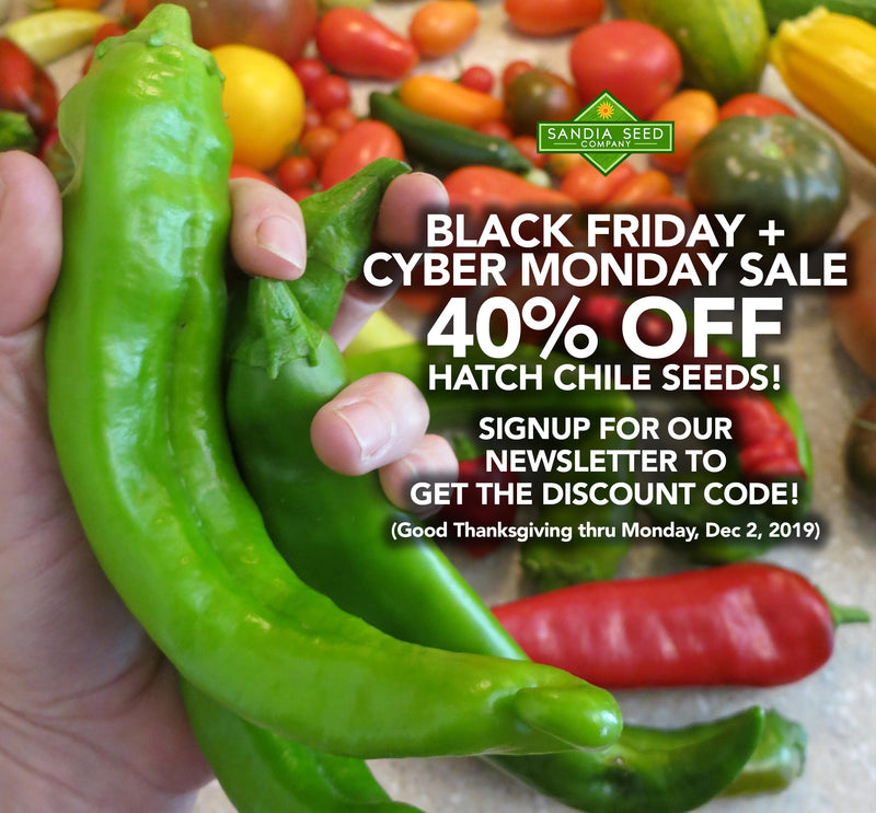 Discount Seeds for Black Friday + Cyber Monday