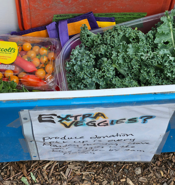 Sharing Veggies - veggie donation at a community garden