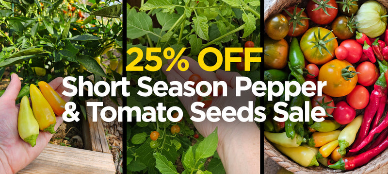 25% Off - Short Season Pepper & Tomato Seeds on Sale!