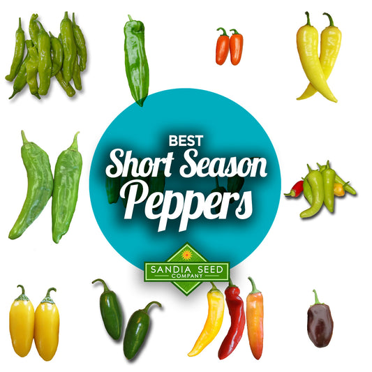 Short Season Peppers from SandiaSeed.com