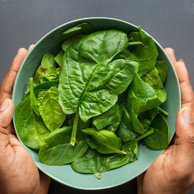 Spinach Seeds
