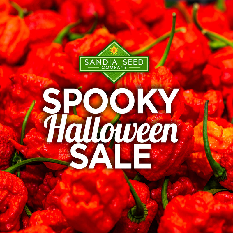 A close-up of vibrant red Halloween peppers with green stems, highlighting their spicy, textured surface for Halloween-themed food sales.