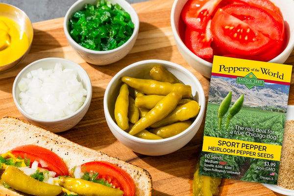 Sport Pepper Recipe - Sport Pepper Seeds shown with pickled Sport Peppers and hot dog fixings.