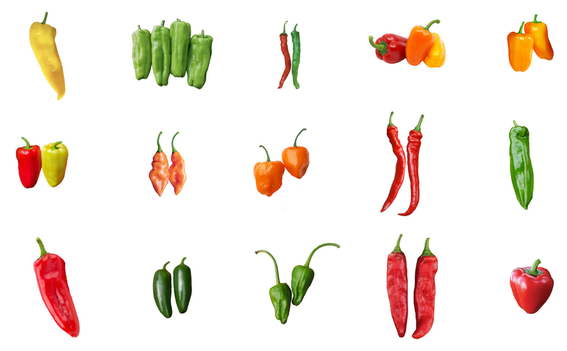 What are the best tasting sweet peppers?