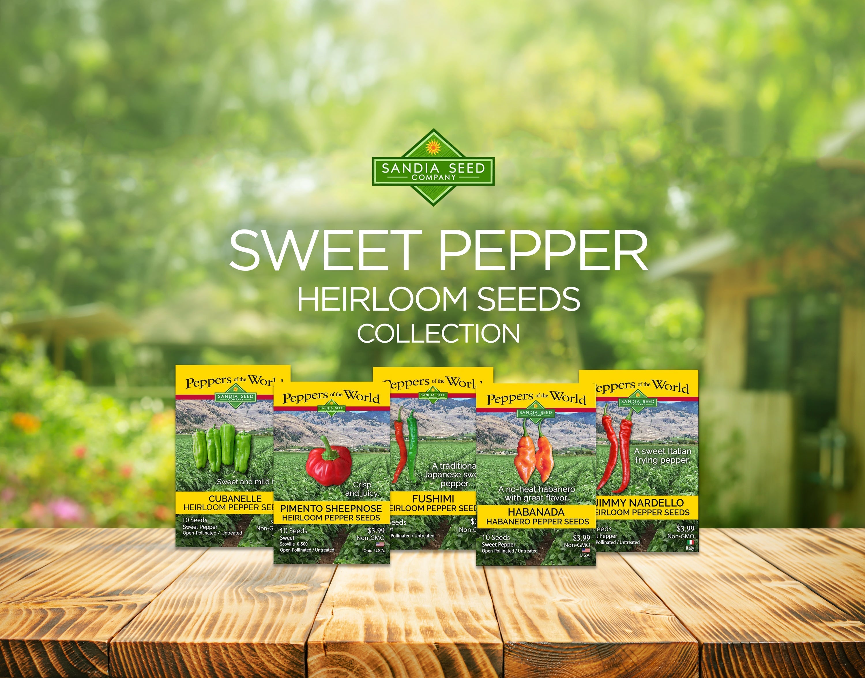 SEEDまとめ売り③ True Leaf Market | True Leaf Market Seed Company