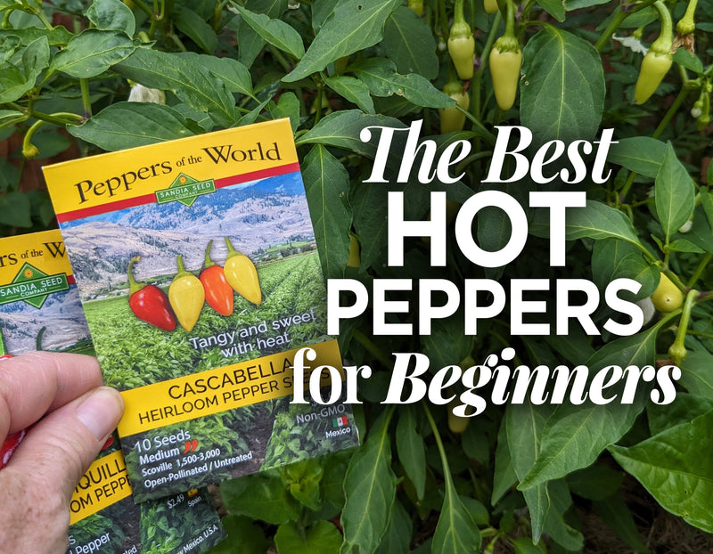 Beginner‑Friendly Hot Peppers