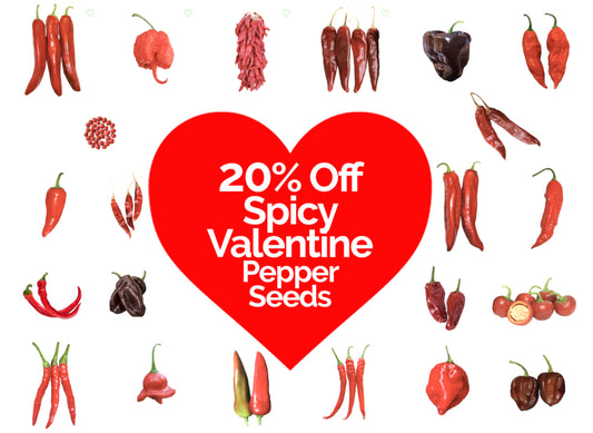 Seed Discounts for Valentine's Day