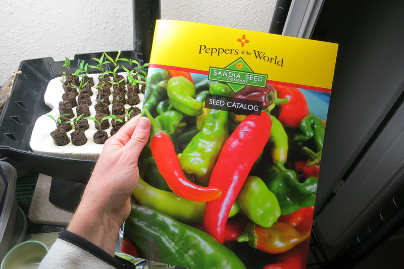 Vegetable Seed Catalog: Sandia Seed Catalog

