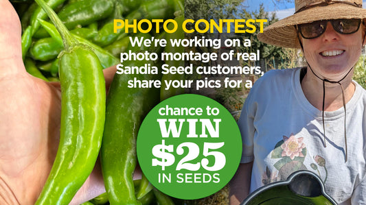 Fall Photo Contest