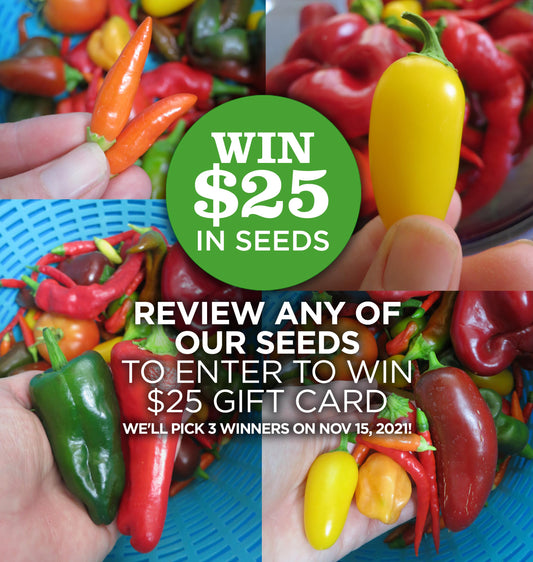 Free Seeds