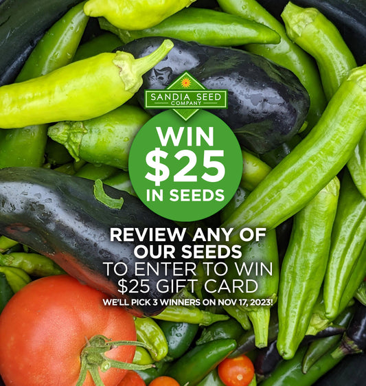Seed Reviews Contest
