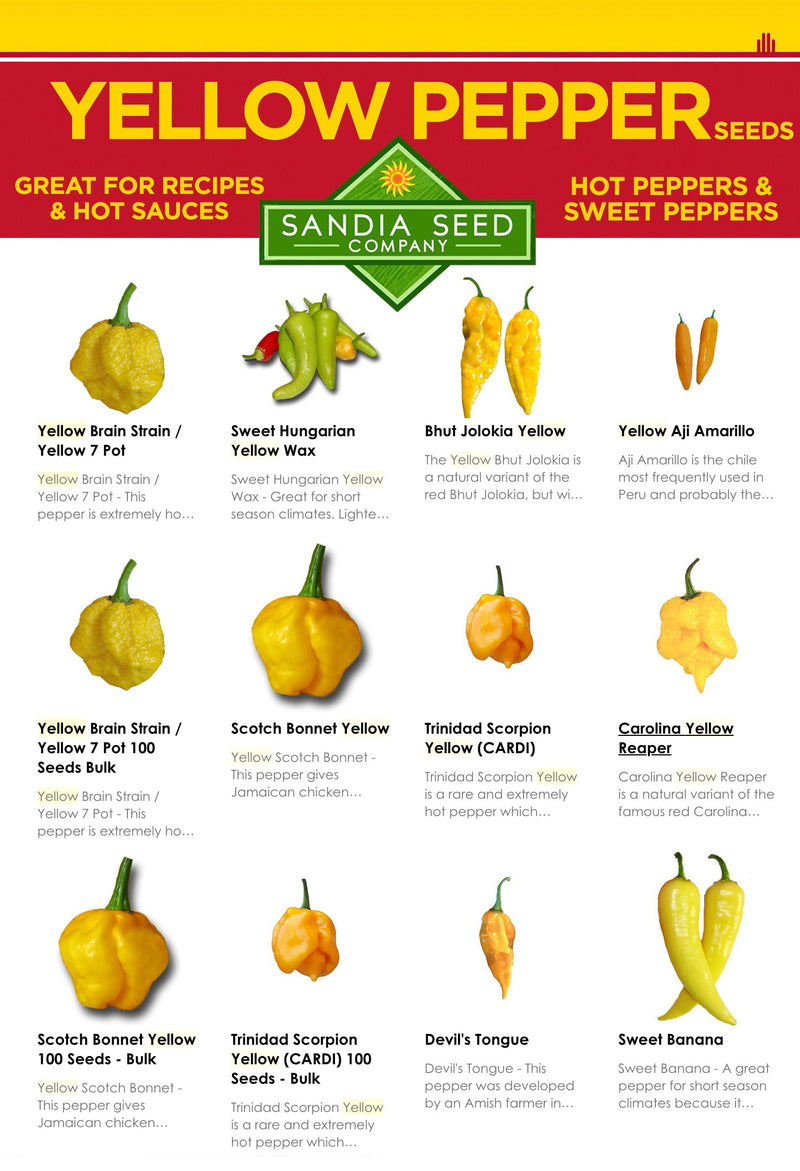 Yellow Pepper Seeds Diagram from Sandia Seed