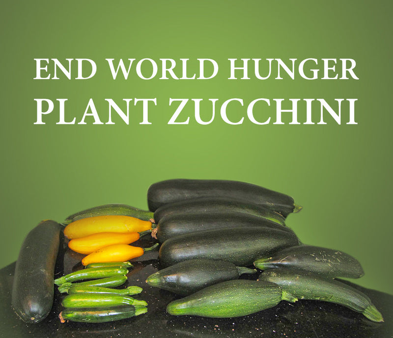 Grow Zucchini! End world Hunger.