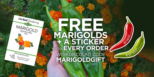Free Marigold Seeds