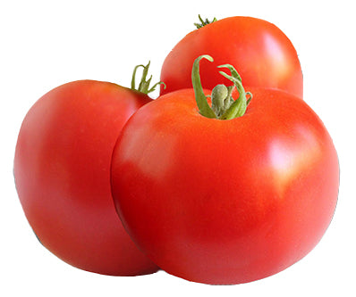 Ultra-Early Tomato Plants