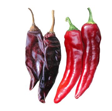 Cascabel Chile