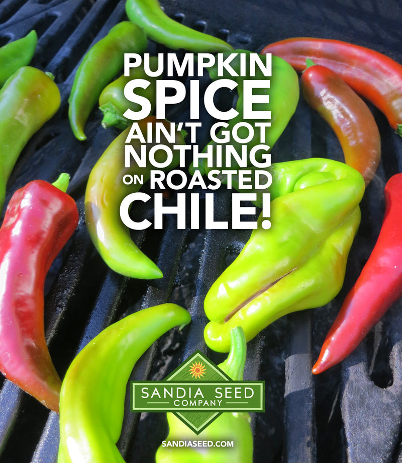 Pumpkin Spice ain't got nothing on Green Chile - with peppers in background on grill