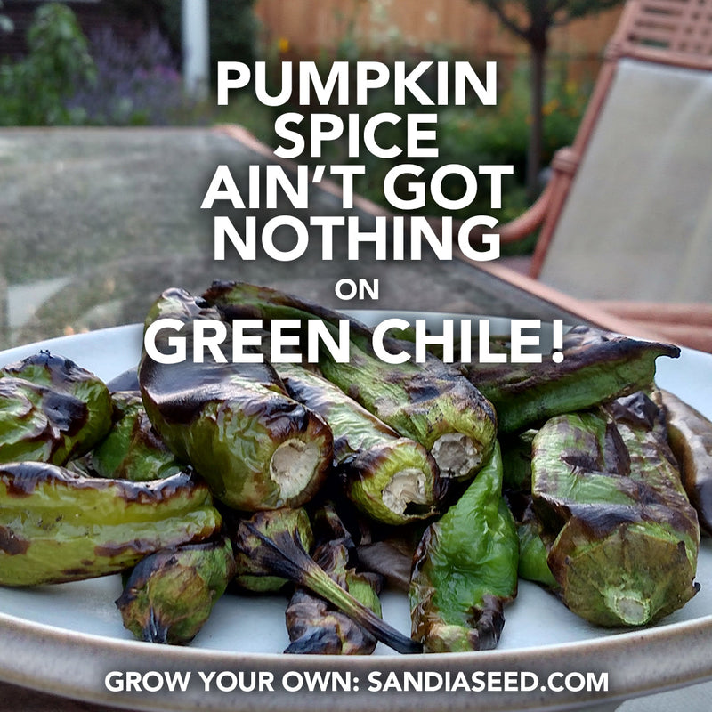 Pumpkin Spice ain't got nothing on Green Chile!
