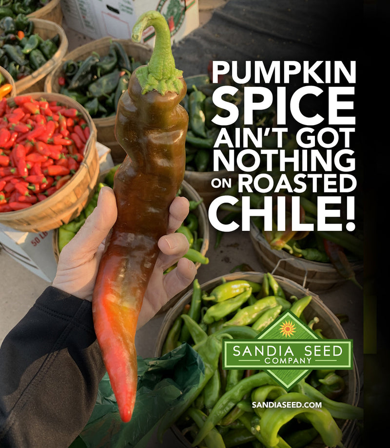 Pumpkin Spice Ain't Got Nothing on Roasted Chile! - Photo with chiles shown


