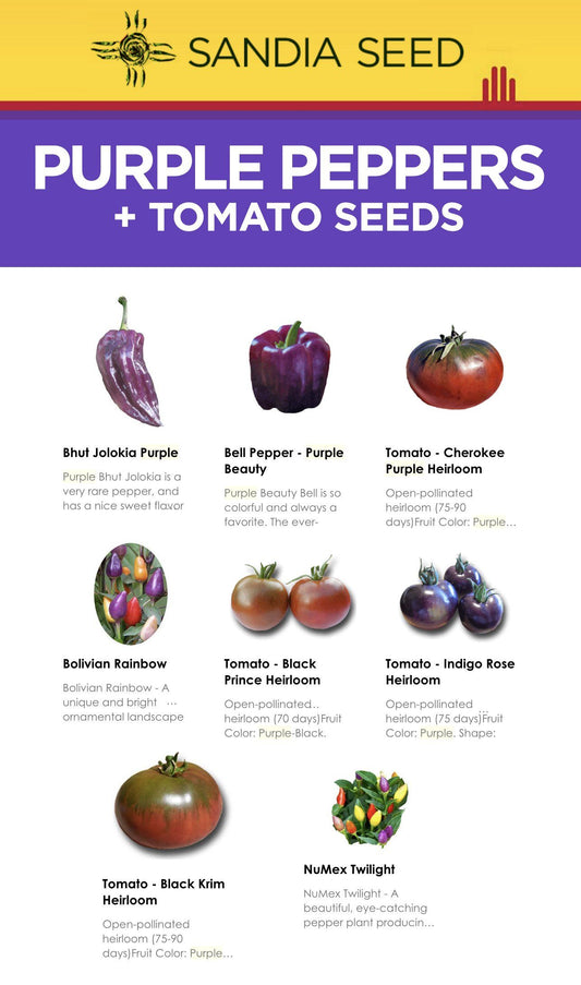 Purple Bell Peppers