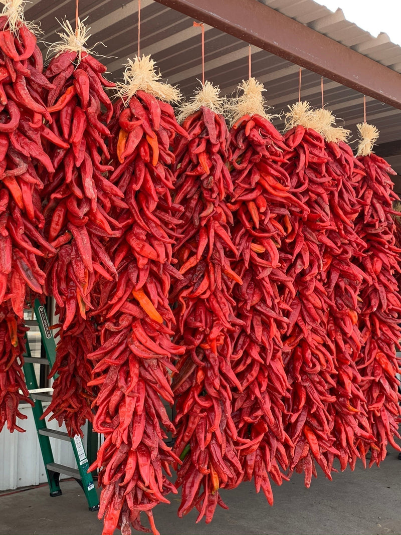 A large bundle of vibrant red Chimayó chile ristras hanging to dry outdoors, showcasing their wrinkled texture and fiery color for culinary use.