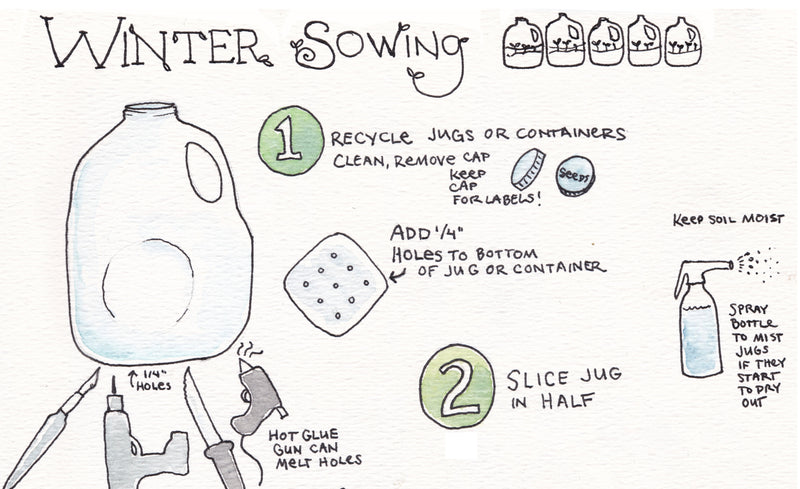Winter Sowing
