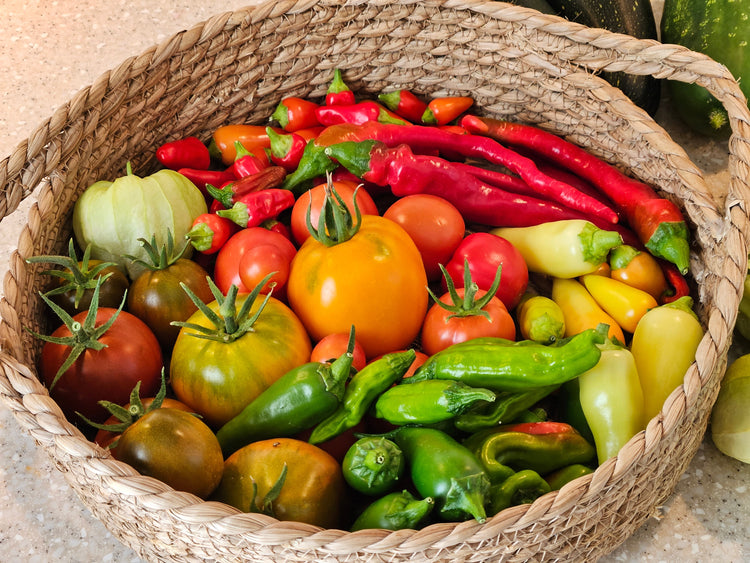Short Season Peppers and Tomatoes