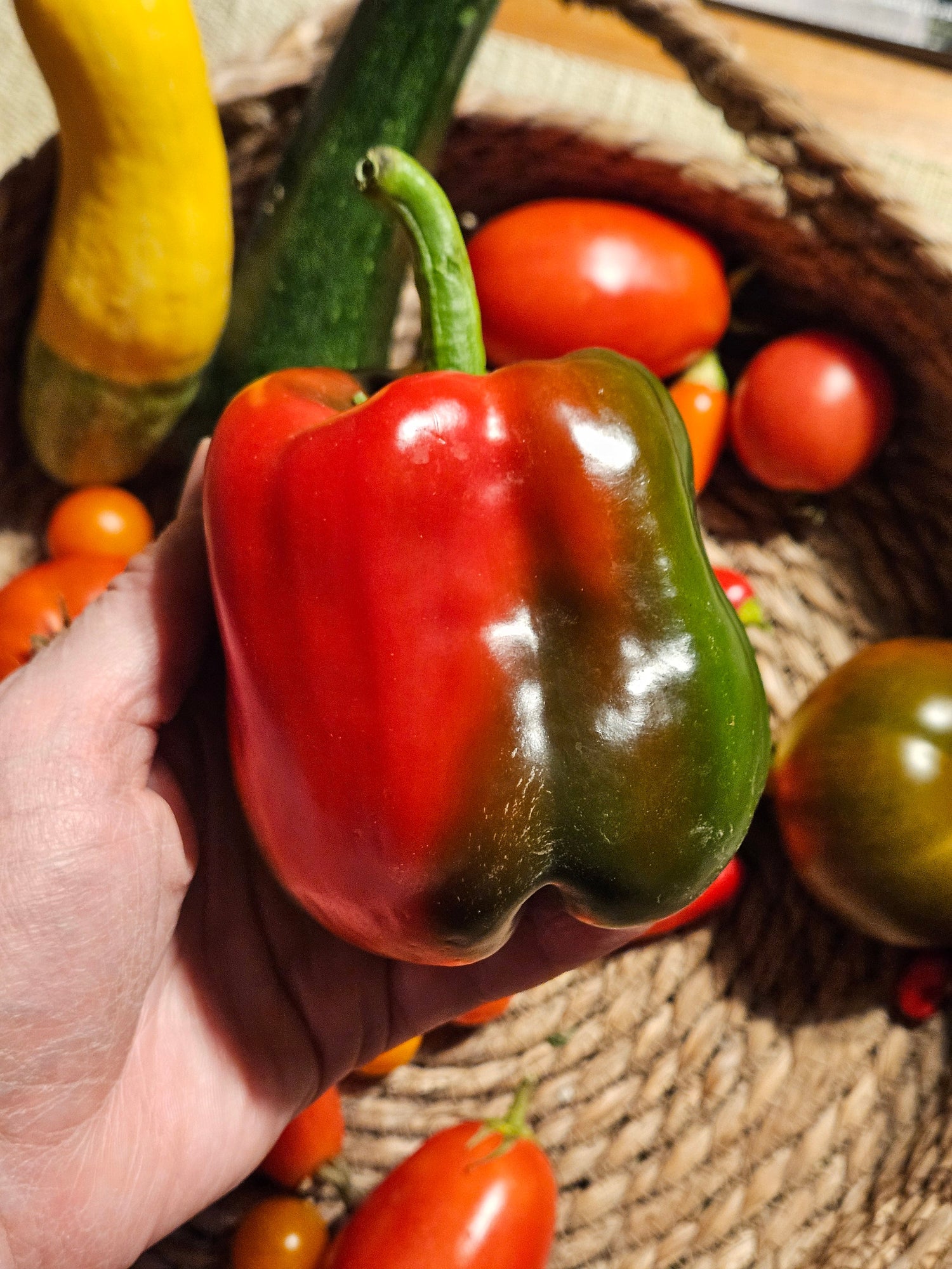 Bell Pepper Seeds