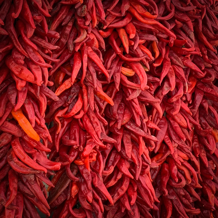 Red Chile Seeds