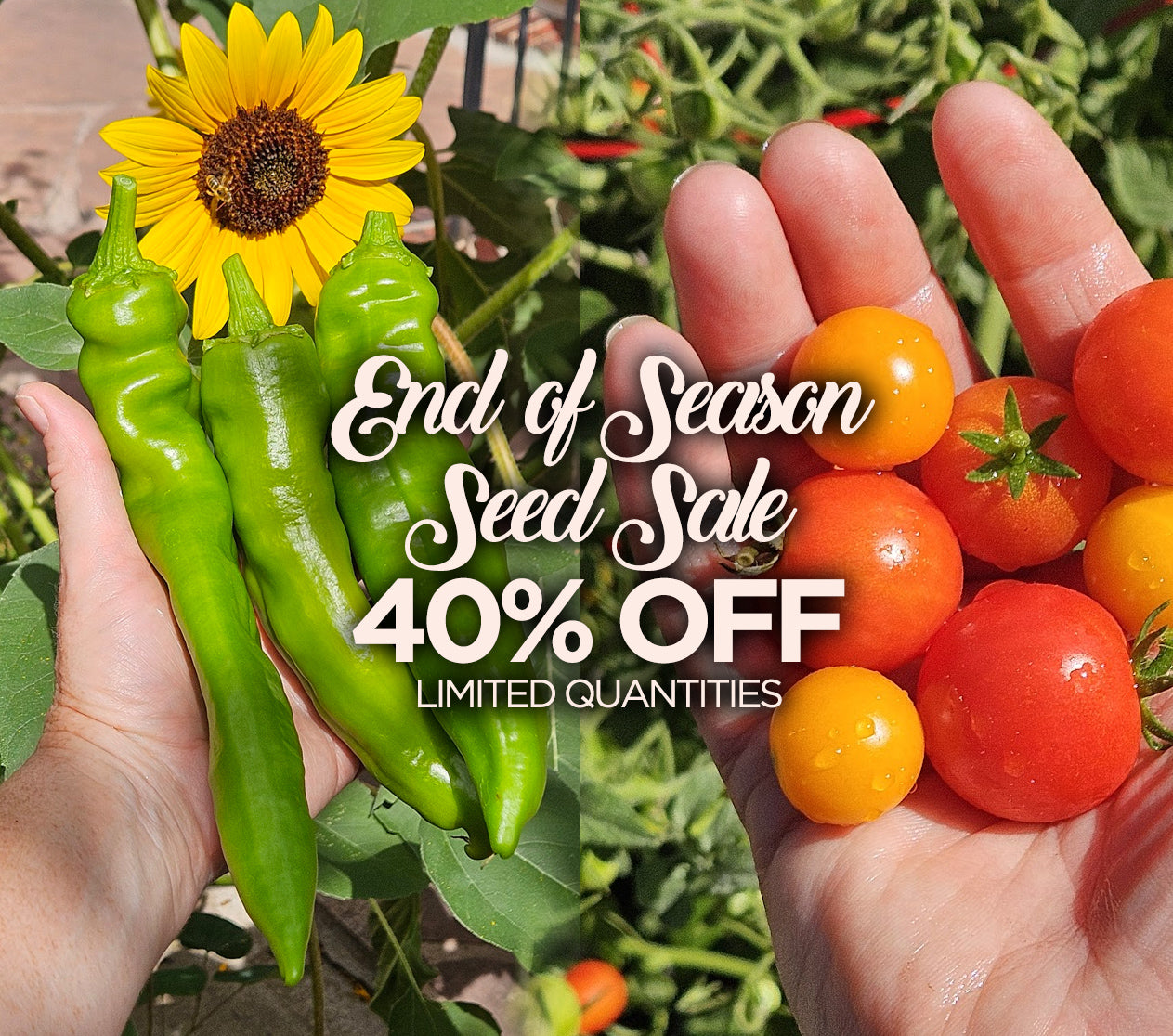 End of Season Seed Sale