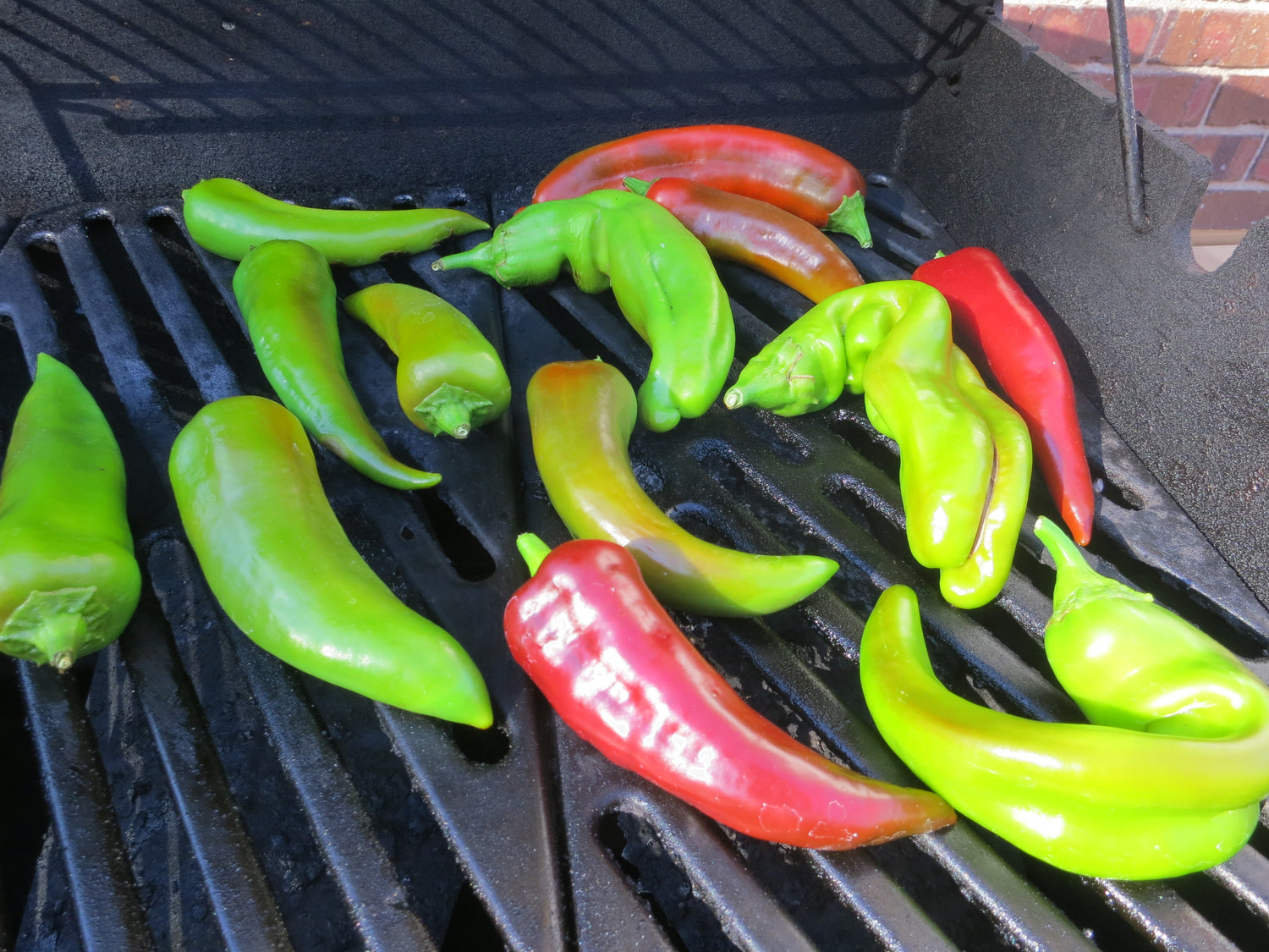 Mild Pepper Seeds