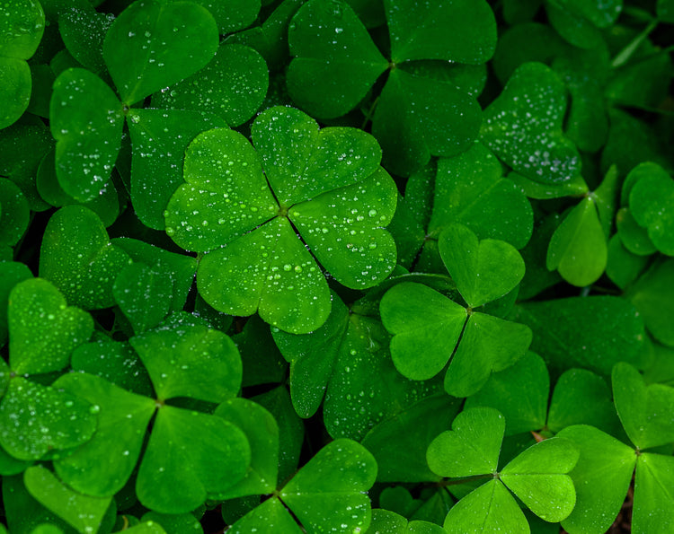 Saint Patrick's Lucky Green