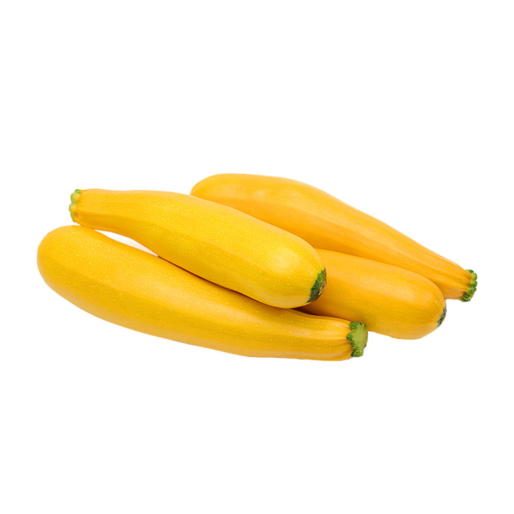 Squash Seeds