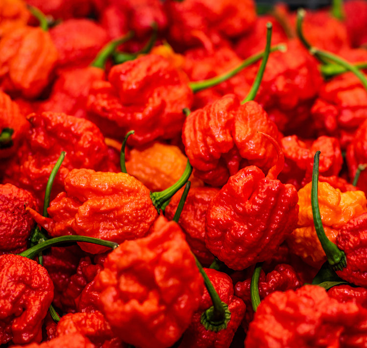 Carolina Reaper Hot Pepper Seeds