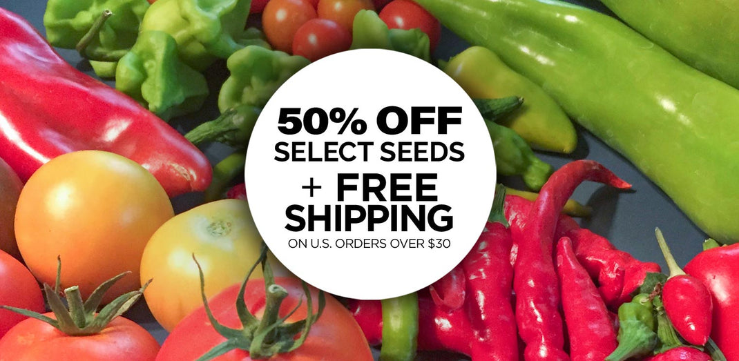SEED DISCOUNTS - 50% OFF SEEDS