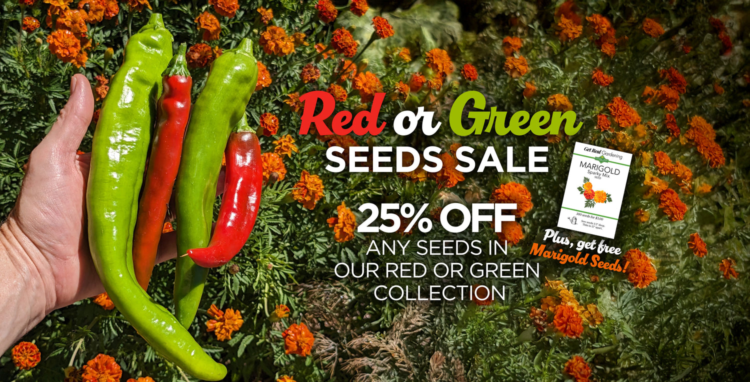 Get 25% off seeds in this collection with discount code: REDORGREEN Plus, we'll send&nbsp;a FREE Marigold seed packet with any sale using this discount code!