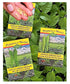 Wholesale Pepper Seed Assortment - 30 Varieties - 180 packets WITHOUT Countertop Display
